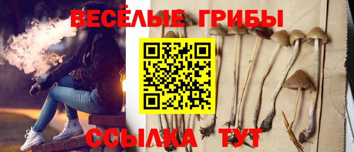 Галлюциногенные грибы MAGIC MUSHROOMS Мариинск