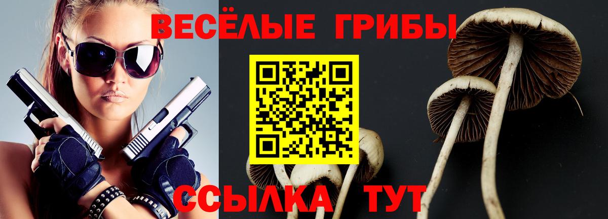 Псилоцибиновые грибы Cubensis  Вход с VPN  Псилоцибиновые грибы Psilocybe  Мариинск 